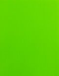 8 1/2x2 Labels - Fluorescent Green (for laser &amp; inkjet printers) - Rectangle - SL304-FG