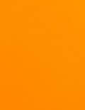 3 3/4x4 3/4 Labels - Fluorescent Orange (for laser &amp; inkjet printers) - Rectangle - SL571-FO